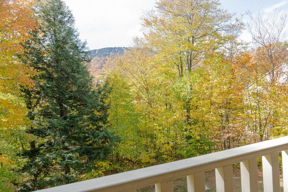 Vantage Point Villas at Stratton Mountain Resort photo 2