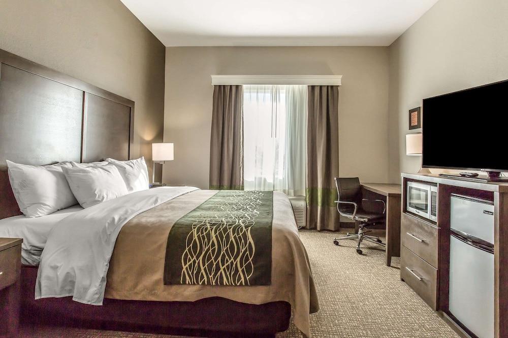 Comfort Inn & Suites Snyder photo 9