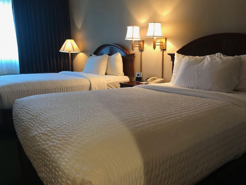 The Marx Hotel photo 2