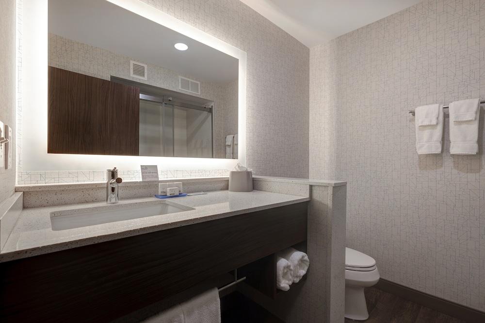 Holiday Inn Express & Suites Detroit Dearborn by IHG photo 39