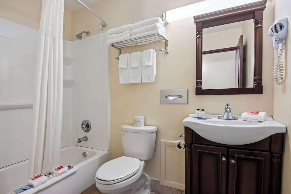 Econo Lodge Manistee photo 8