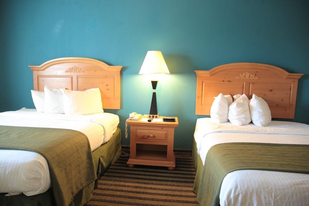 American Inn and Suites photo 16