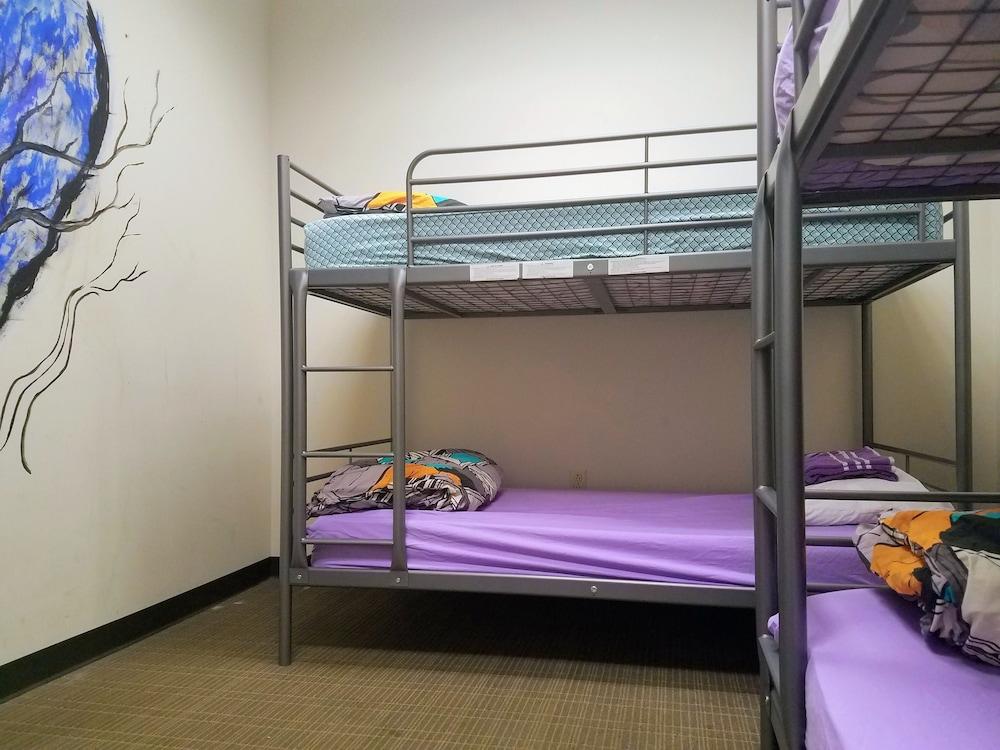 City House Hostel New Orleans photo 15