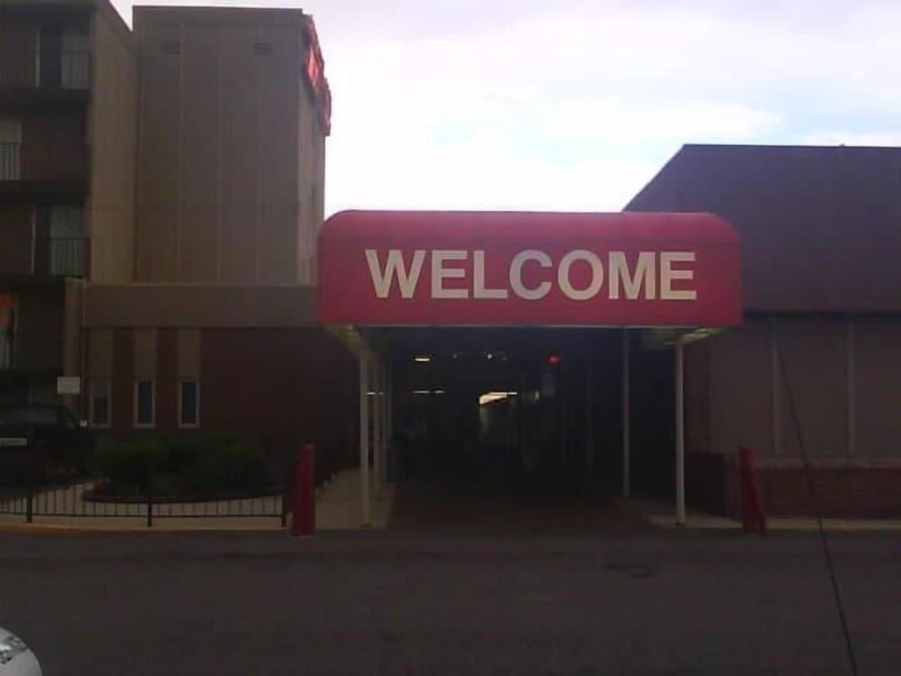 American Motel photo 14