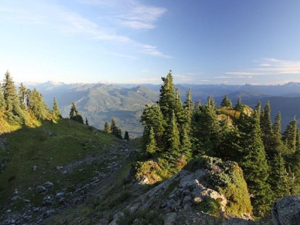 North Cascades Inn photo 43