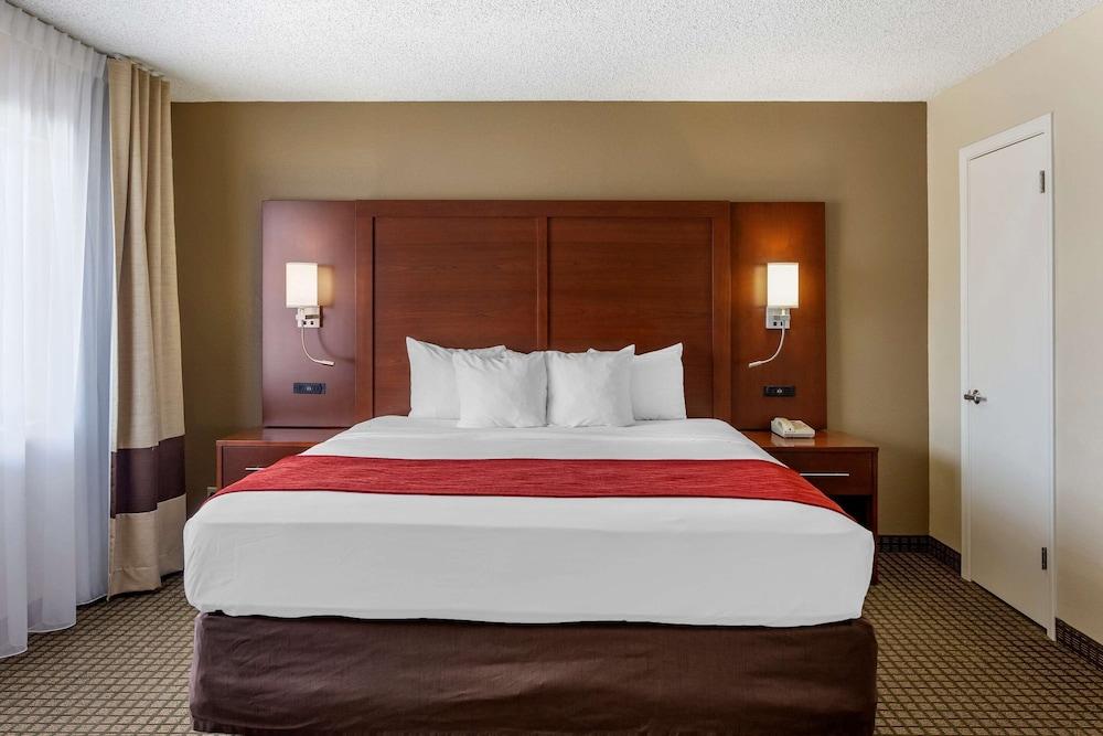 Comfort Inn & Suites Rochelle - DeKalb photo 25
