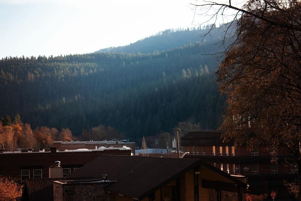 White Pine Motel photo 5