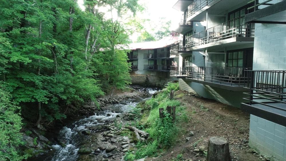 Bear Creek Inn photo 33