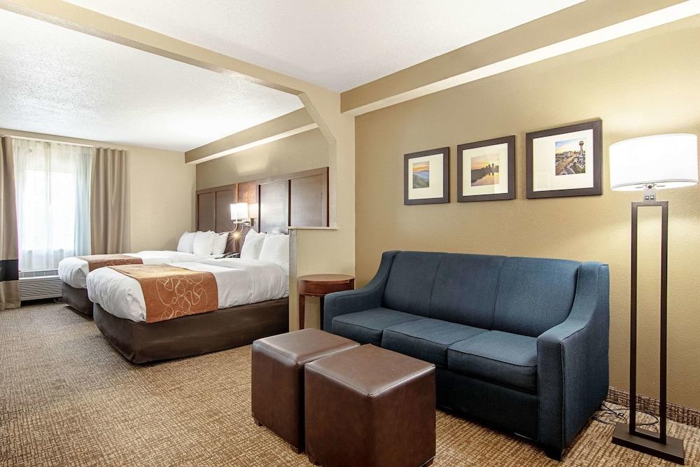 Comfort Suites Knoxville Airport photo 22
