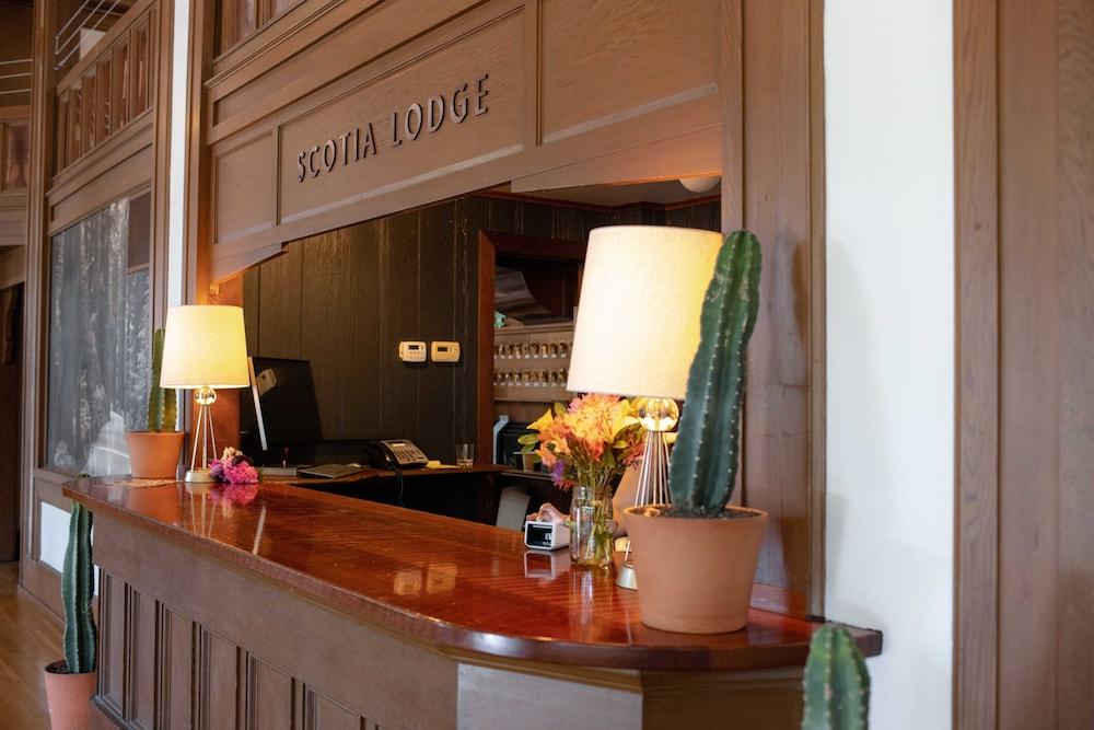 Scotia Lodge photo 28