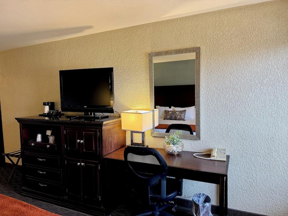 Hotel Indigo Detroit North – Troy by IHG photo 7