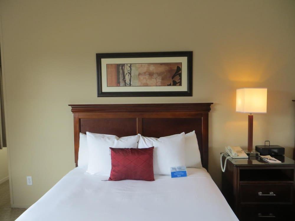 Adobe Inn photo 7