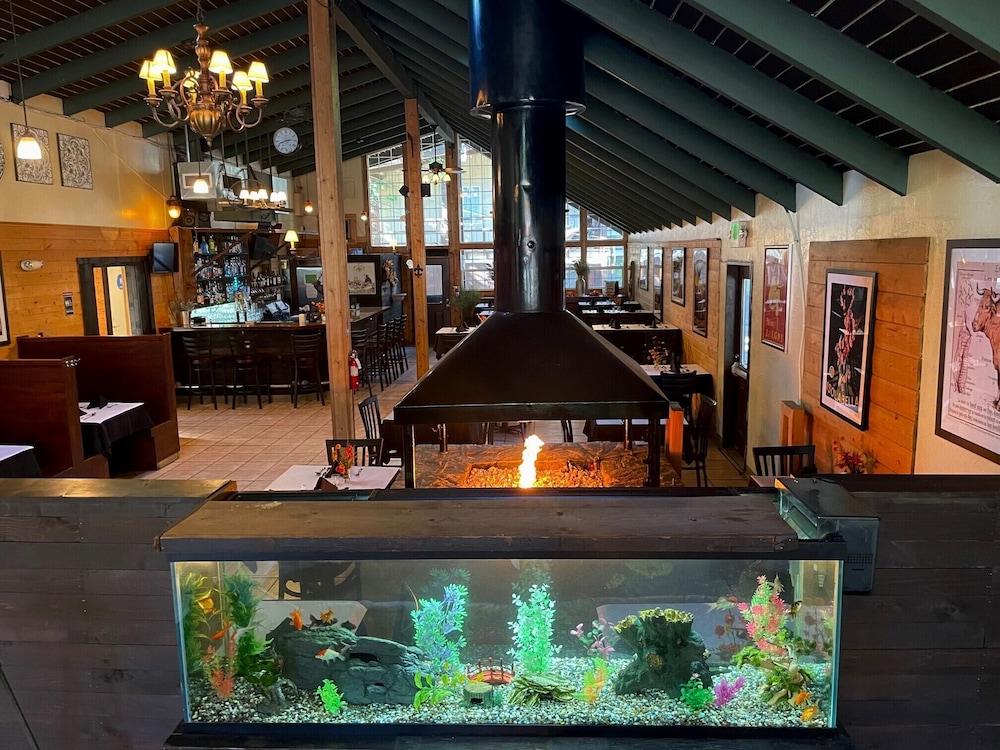 Shasta Inn photo 12