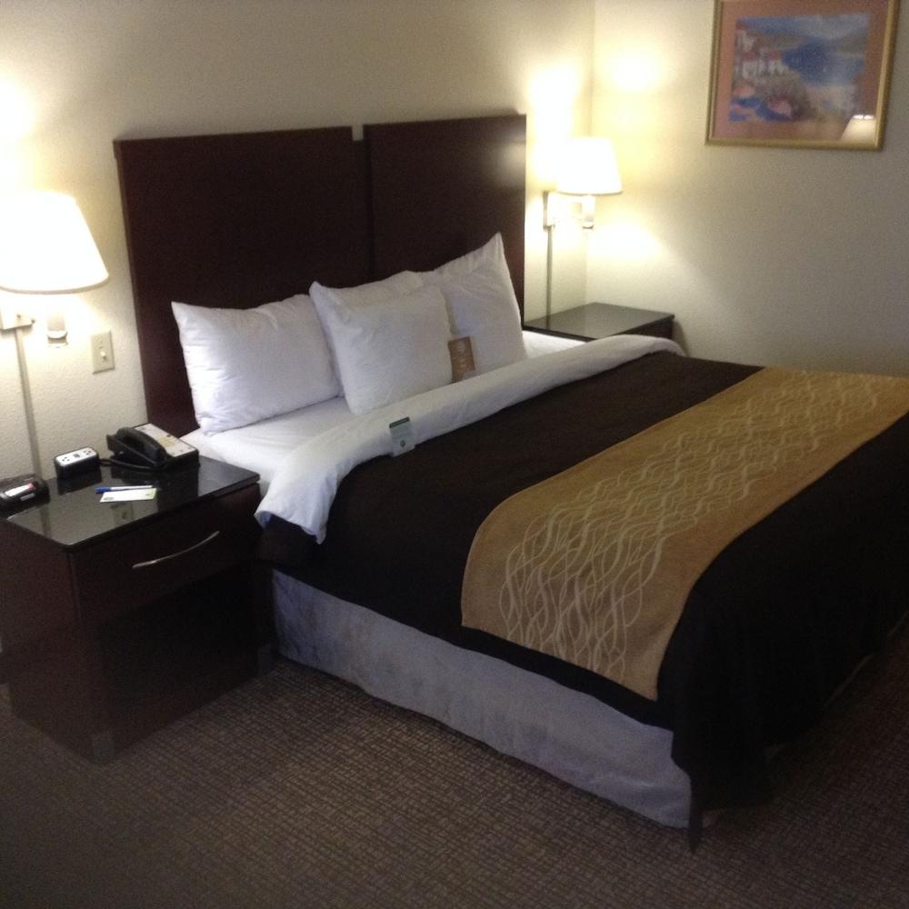 Comfort Inn & Suites Ft. Jackson Maingate photo 6
