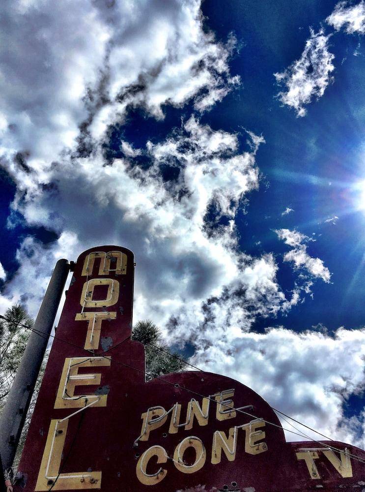 Piazza's Pine Cone Inn photo 15