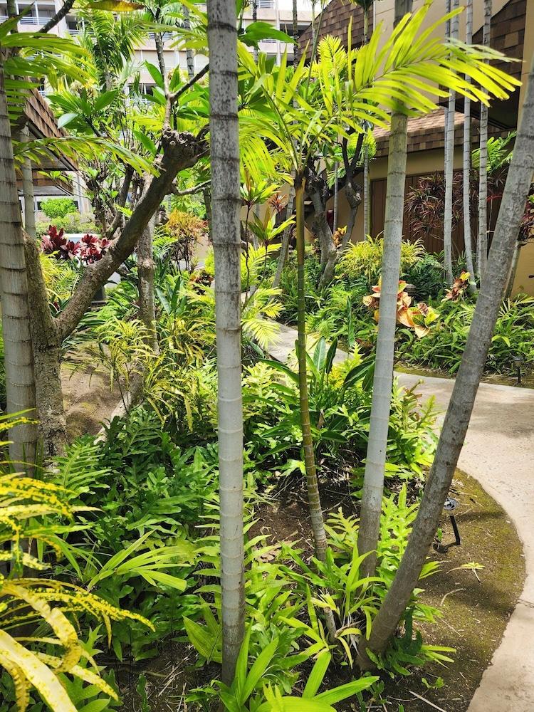 Kamaole Beach Club photo 16