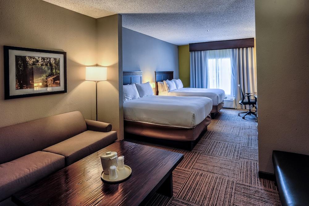 Holiday Inn Express Hotel & Suites Pell City by IHG photo 82