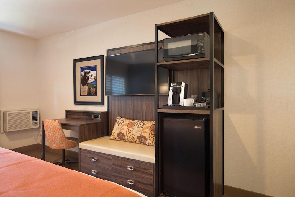 The Vine Inn Davis photo 9
