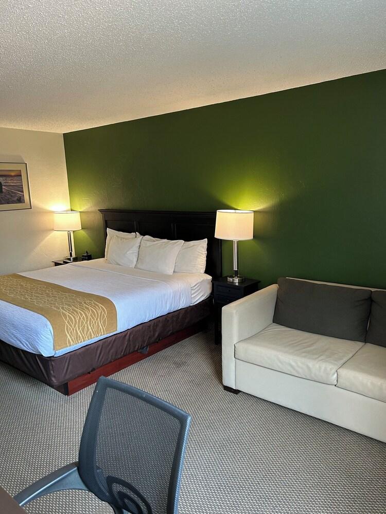 Boarders Inn & Suites by Cobblestone Hotels - Munising photo 8