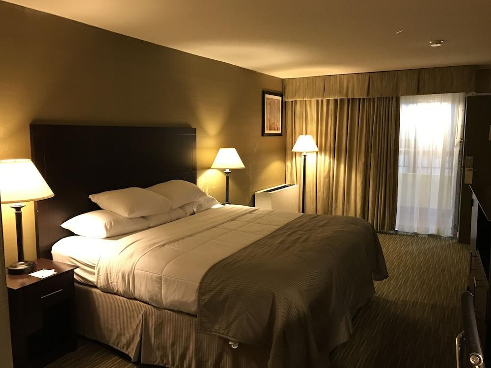 Wyndham Garden Ann Arbor photo 14