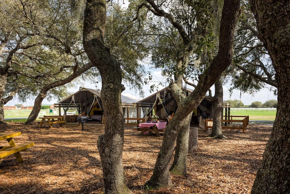 Westgate River Ranch Resort & Rodeo photo 61