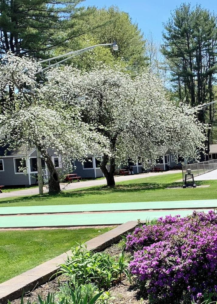 Elmwood Motor Court photo 68