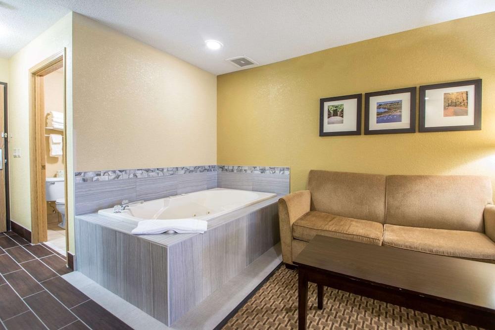 Comfort Suites Wisconsin Dells Area photo 44