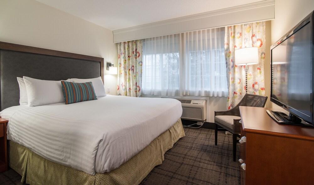 Best Western Plus University Park Inn & Suites photo 60
