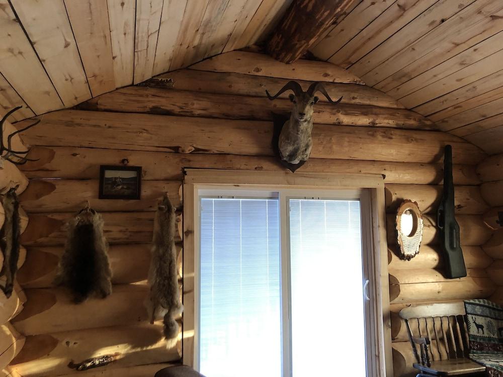 Wrangell Mountain Lodge photo 14