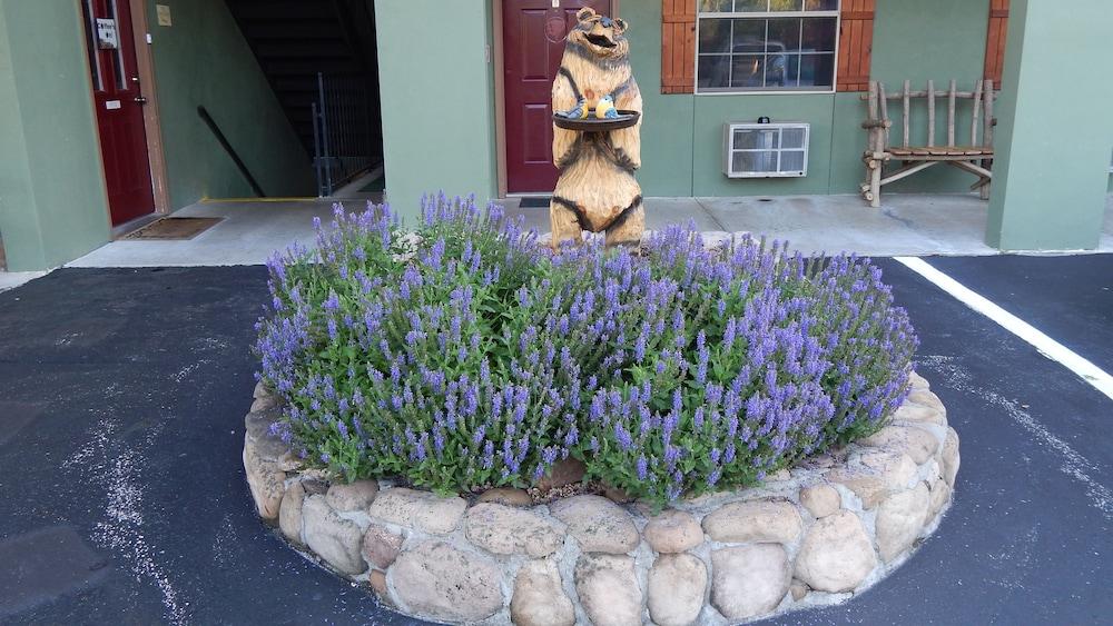 The Lodge photo 38