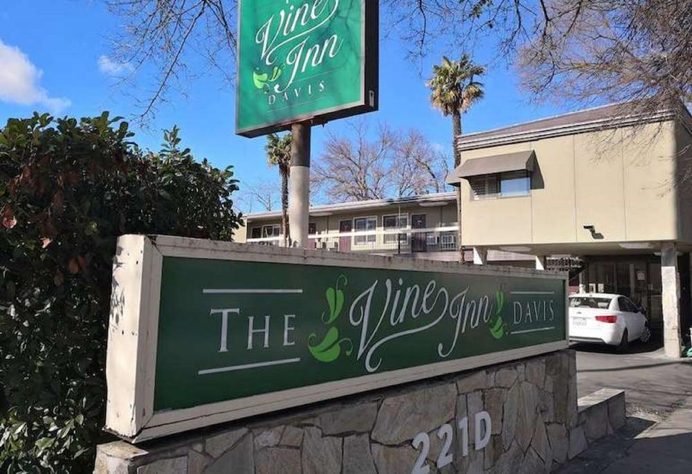 The Vine Inn Davis photo 23