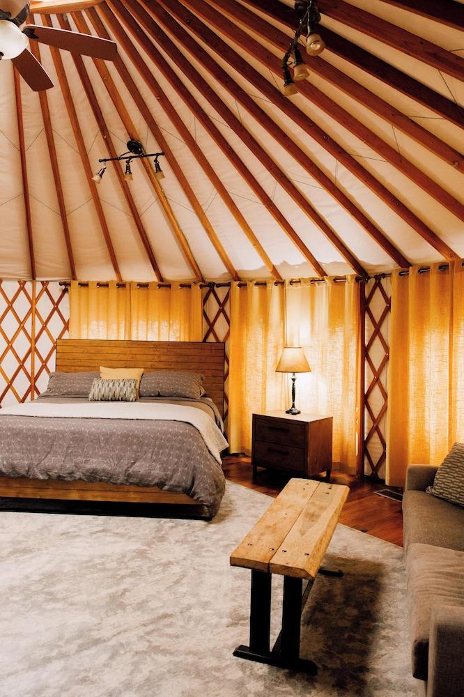 Sky Ridge Yurts photo 15