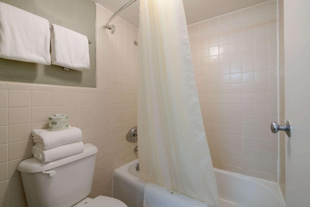 Quality Inn & Suites Auburn I-95 photo 12