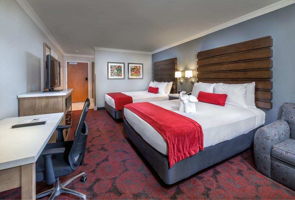 Desert Palms Hotel & Suites photo 10