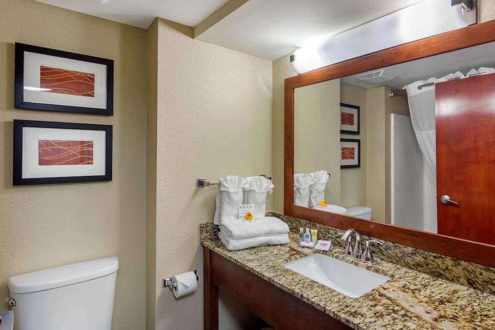 Comfort Inn & Suites LaGrange East photo 10