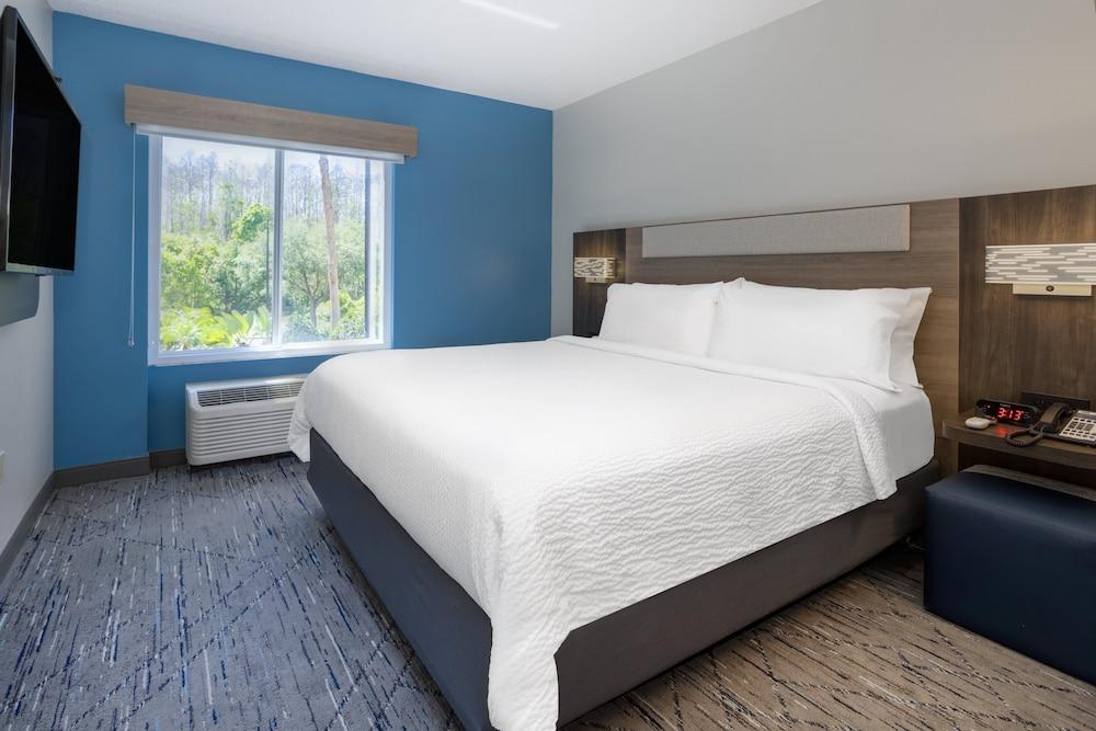 Holiday Inn Express Hotel & Suites New Tampa I-75 by IHG photo 3