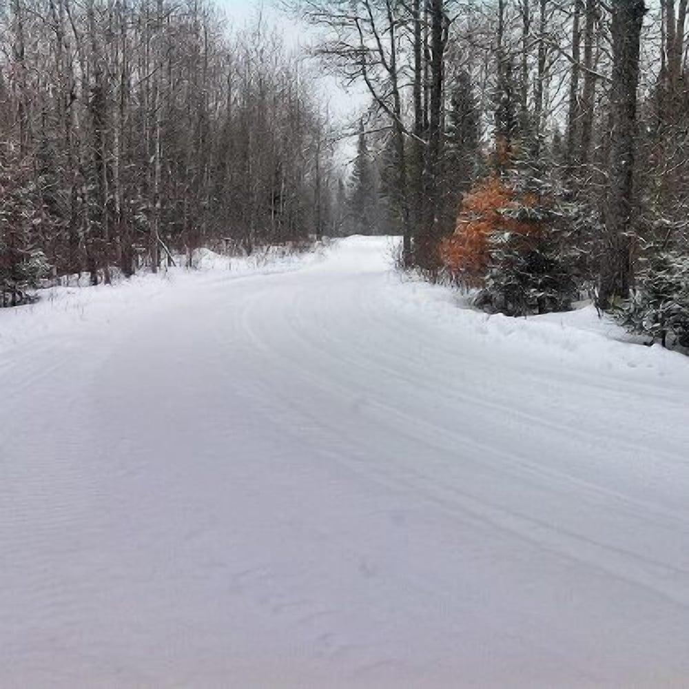 Chicaugon Lake Inn photo 29