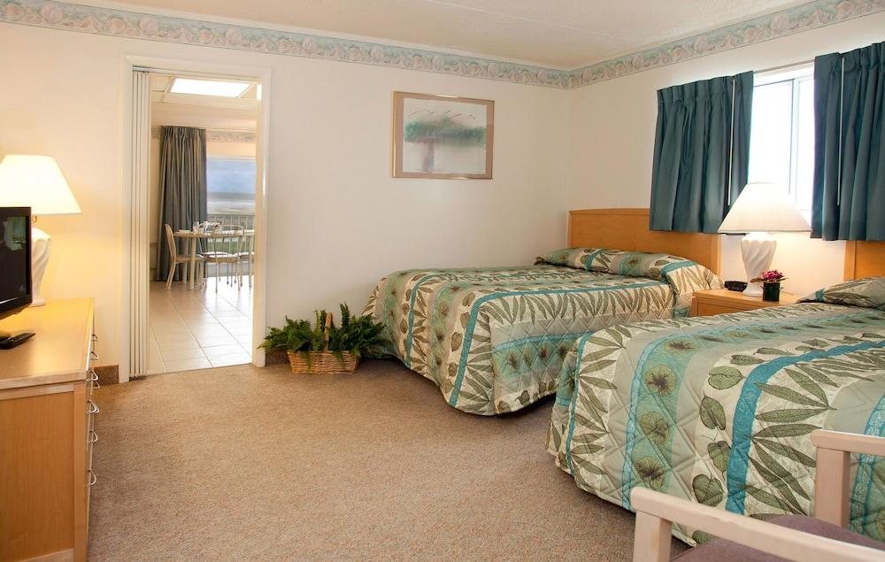 Lotus Inn photo 39