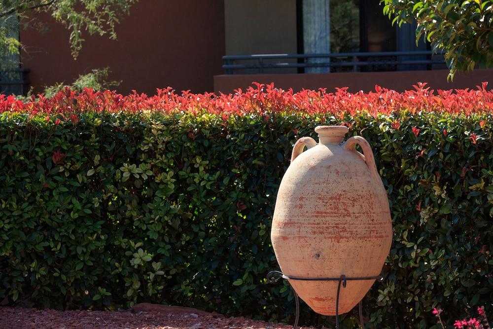 The Wilde Resort and Spa photo 7
