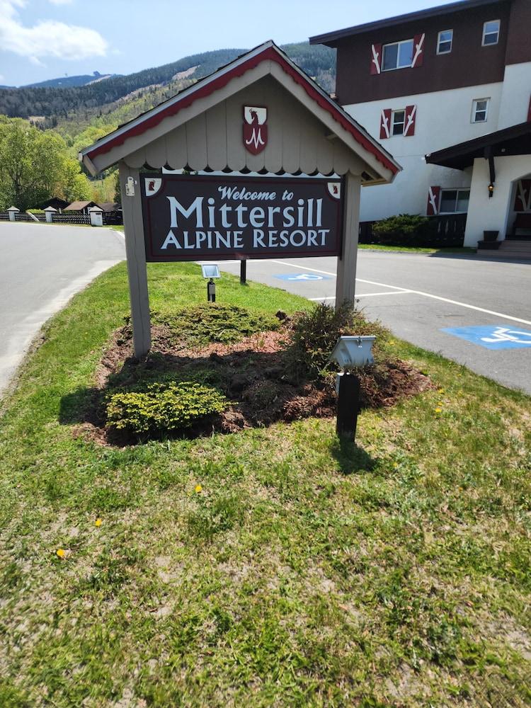 Mittersill Alpine Resort photo 27