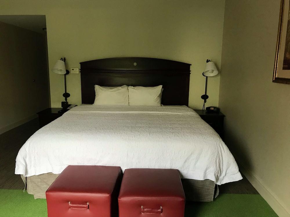 Hampton Inn Vidalia photo 10