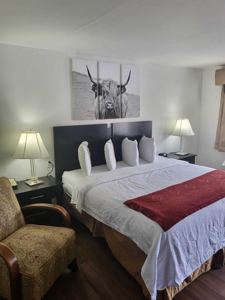 Pine Tree Inn photo 25