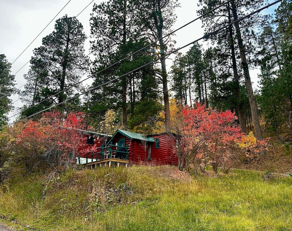 Ponderosa Pines photo 54