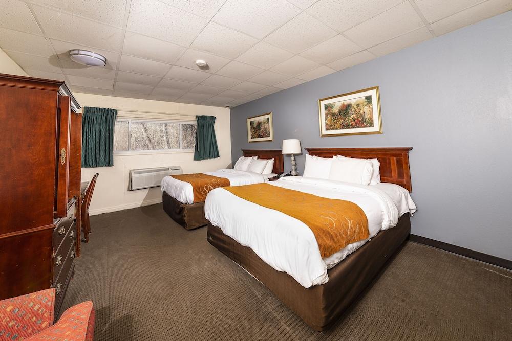 Bedford Motel photo 12