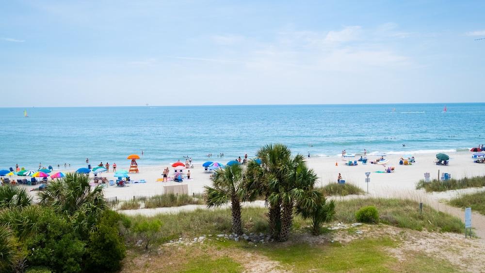 AVENTURA ON THE OCEAN photo 29