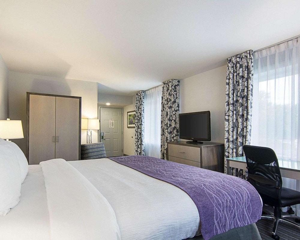 Comfort Inn Williamsburg Gateway photo 30
