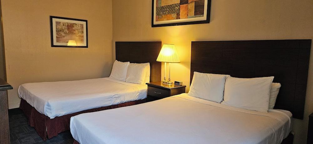 Bellis Inn photo 15