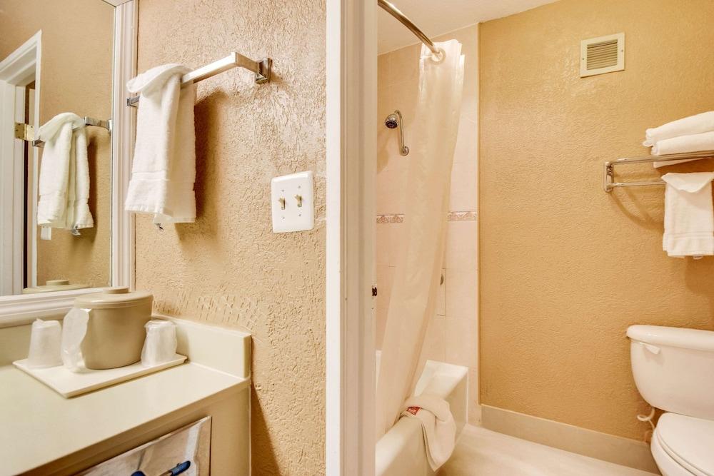 Econo Lodge Tampa near Busch Gardens photo 55