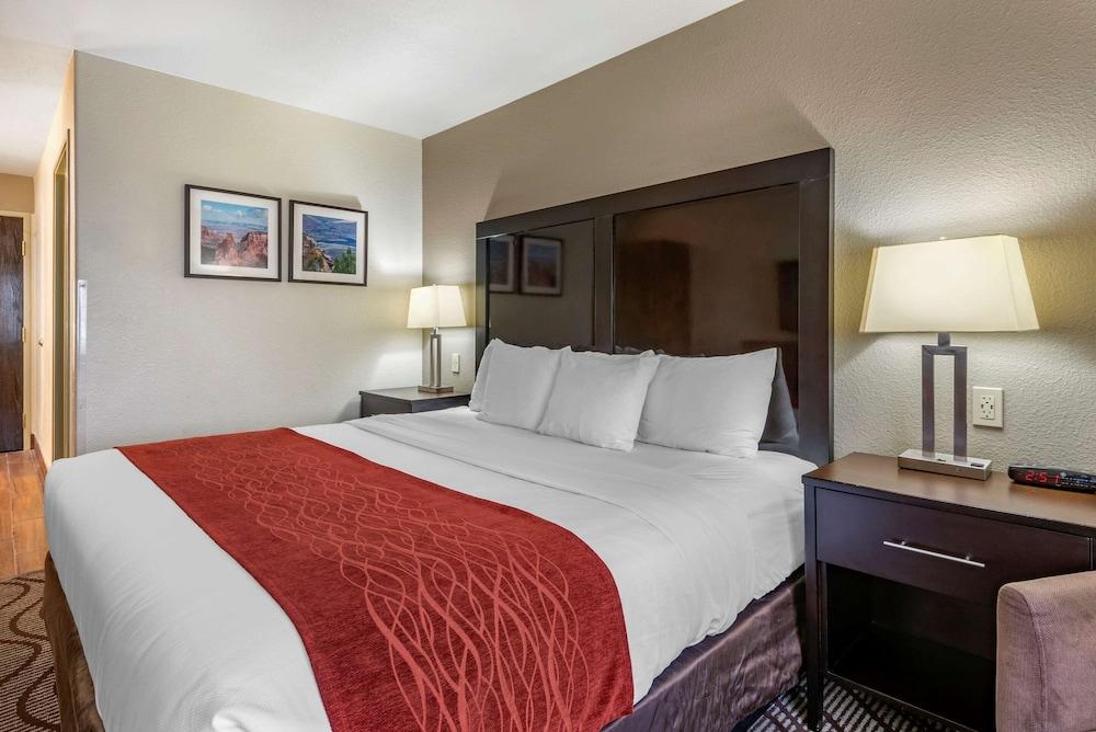 Comfort Inn & Suites Fruita - Grand Junction photo 12