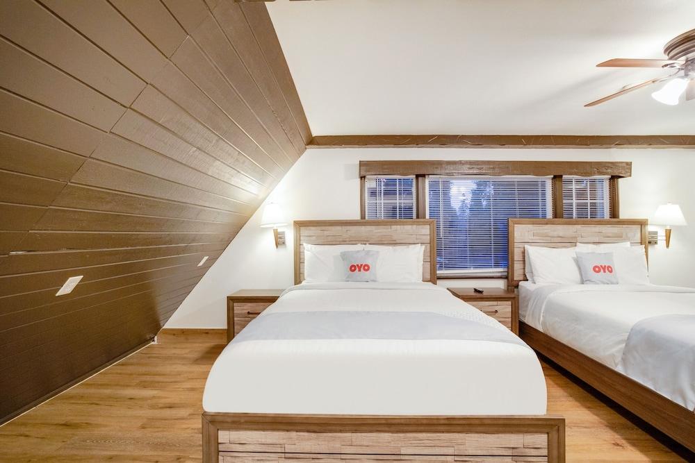 Arrowhead Tree Top Lodge photo 2